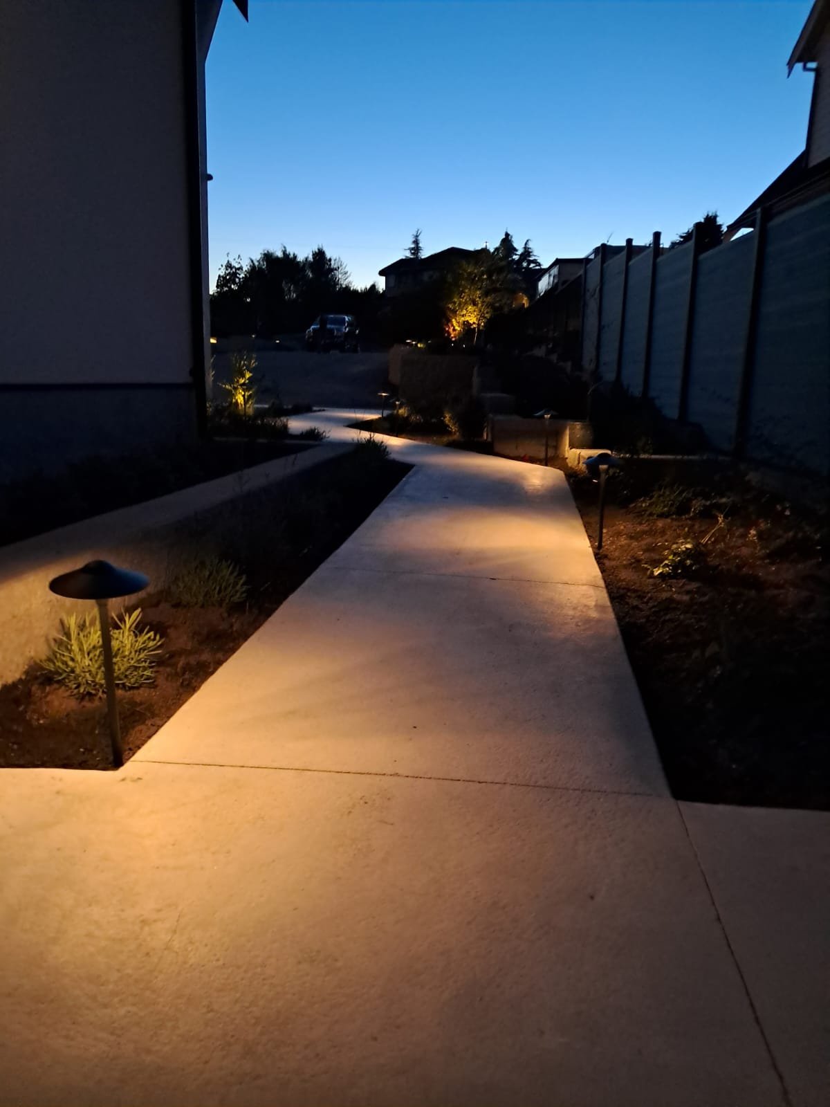 Outdoor landscape lighting on a home exterior at night